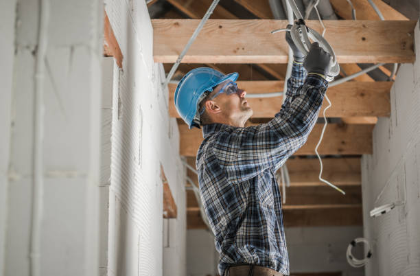 Best Affordable Electrician  in Spring Valley, MN