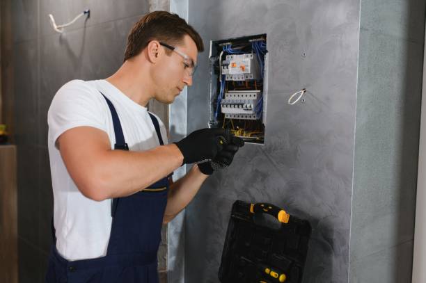 Best Home Electrical Repair  in Spring Valley, MN
