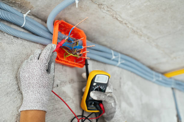 Best Best Electricians Near Me  in Spring Valley, MN