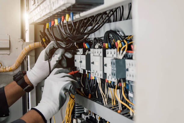 Best Licensed Electrician  in Spring Valley, MN
