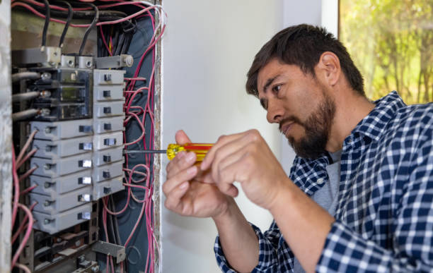 Best Electrical System Inspection  in Spring Valley, MN